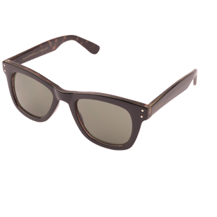 Allen Black tortoise