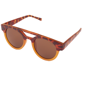 Dreyfuss Tortoise/Honey