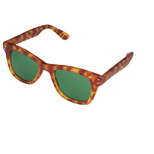 Allen Matte tortoise