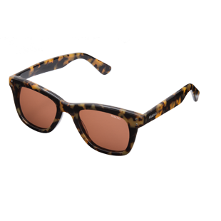 The Allen Tortoise Demi