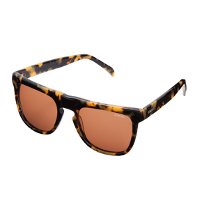 The Bennet Tortoise Demi