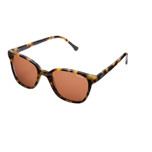 The Renee Tortoise Demi