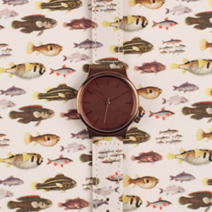 Wizard Print Series Ichtyology
